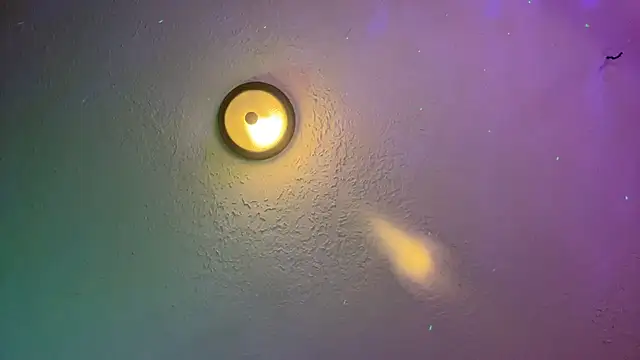 Snapshot of Dani_Dragon69 chatting on February 2025 08:42:01 AM Dani Dragon69 online show from February 2025 08:42:01 AM