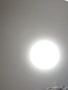 53kkkkkk online show from October 2025 02:58:01 PM