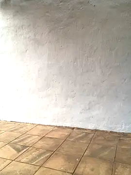 Pearl 00 online show from October 2025 04:07:02 PM