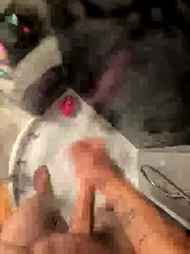 lescro95  online show from October 2025 05:47:02 PM