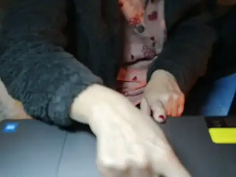 VeneRed online show from January 2026 09:51:01 PM