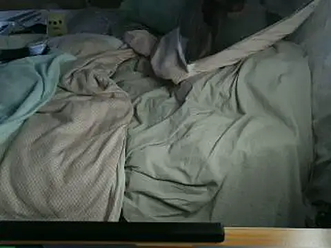 VeneRed online show from April 2026 03:40:02 PM