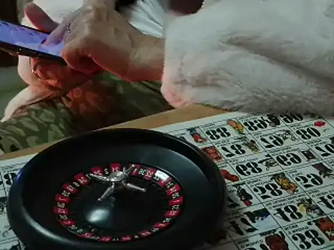 VeneRed online show from November 2025 07:18:01 PM