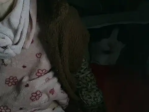 VeneRed online show from March 2026 09:28:01 PM