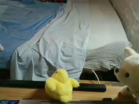 VeneRed online show from May 2026 05:18:01 PM