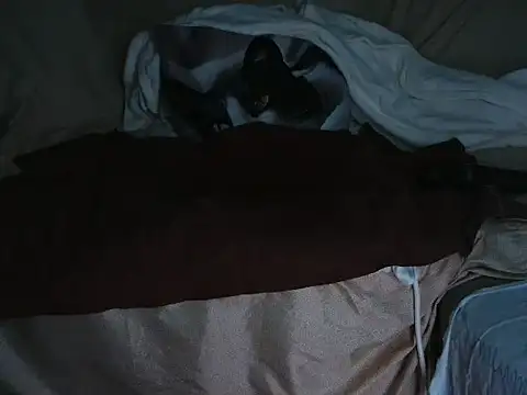 VeneRed online show from October 2025 06:45:01 PM