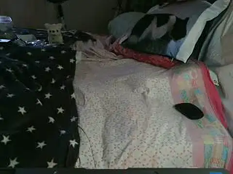 VeneRed online show from March 2026 11:08:01 AM