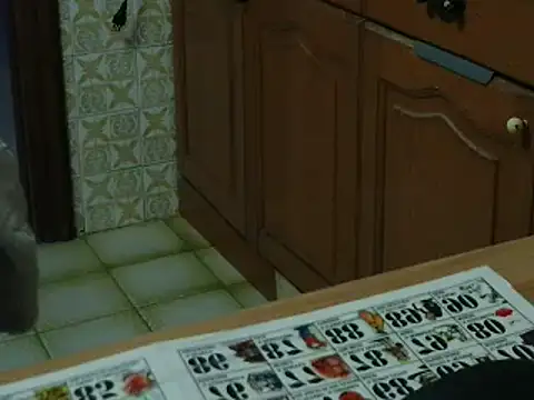 VeneRed online show from November 2025 05:28:01 PM