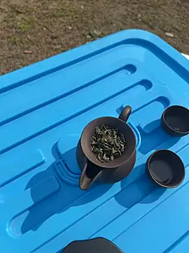 CN-Shanshan online show from February 2026 04:00:02 AM