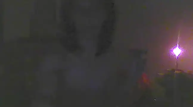 Snapshot of Just_Gabriella chatting on March 2025 10:33:02 AM Just Gabriella online show from March 2025 10:33:02 AM