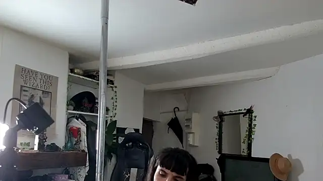 Snapshot of CeriseLapine chatting on November 2025 10:31:01 AM CeriseLapine online show from November 2025 10:31:01 AM