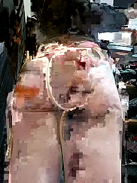 gina7772 online show from November 2025 03:33:02 AM