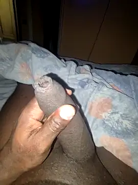 pumapatri online show from February 2026 09:03:01 PM