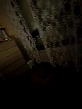 Snapshot of pumapatri chatting on November 2025 09:15:02 PM pumapatri online show from November 2025 09:15:02 PM