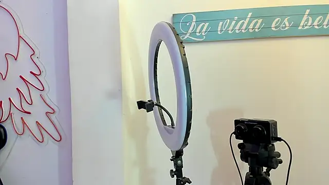 Snapshot of AmberBee chatting on December 2024 01:29:01 AM AmberBee online show from December 2024 01:29:01 AM