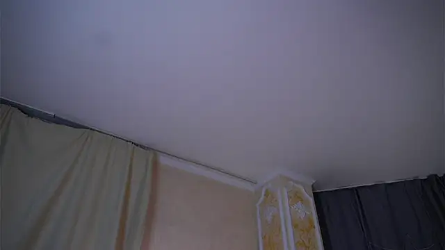 Snapshot of EdlinAlliston chatting on February 2026 04:28:01 PM EdlinAlliston online show from February 2026 04:28:01 PM