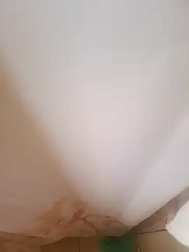 403notfound online show from November 2025 04:43:02 PM