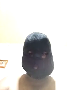 Nogeris20 online show from November 2025 03:16:02 PM