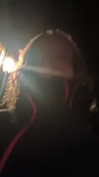 DrownMentallyyy online show from April 2026 12:50:01 AM