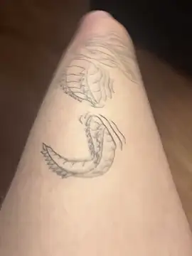 romanhrdcore online show from January 2025 09:27:01 AM