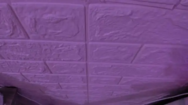 gabyye capprins online show from November 2025 11:53:01 PM