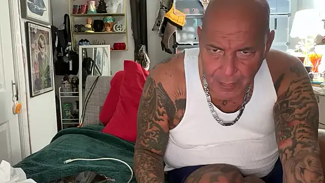 joeytatts66 online show from November 2025 04:49:02 AM