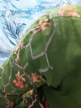 Sania-Love online show from February 2026 11:15:02 PM