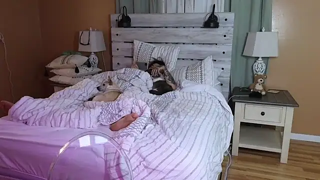 TexasTattooedHouseWife online show from October 2025 05:50:01 AM