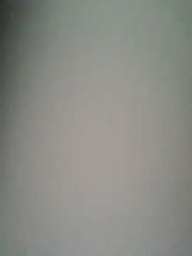 Loggan donnelly online show from January 2026 08:58:03 PM