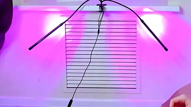 CarolGiggly online show from November 2025 08:41:01 AM