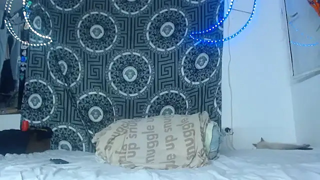 Adam hard  online show from November 2025 11:27:01 PM