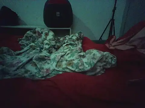 novilho18piroc online show from May 2026 05:22:02 PM