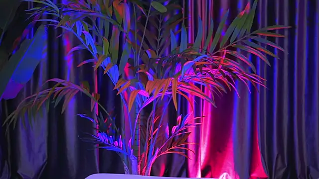 LaraSin online show from December 2024 01:15:02 AM