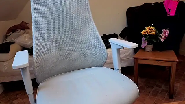 SteveStiffbone online show from February 2026 02:37:02 PM