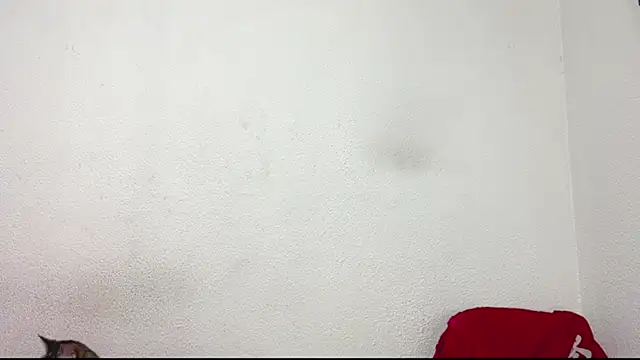 Snapshot of logan_x3 chatting on March 2026 04:14:02 AM logan x3 online show from March 2026 04:14:02 AM