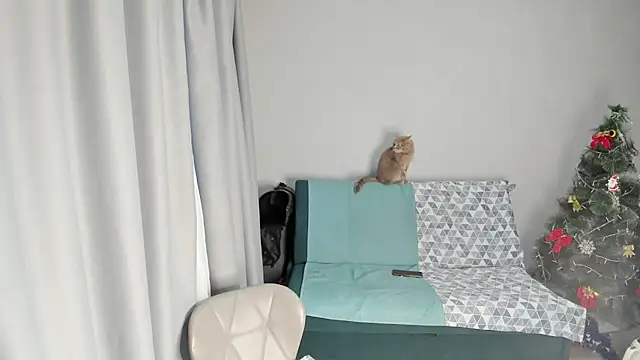 elis gabbi online show from December 2025 08:49:02 AM