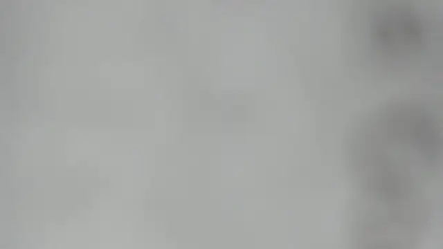 elis gabbi online show from February 2026 02:44:02 AM