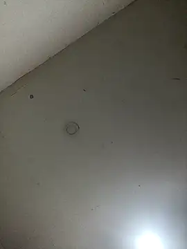 Snapshot of jeremiabello chatting on February 2025 04:32:02 AM jeremiabello online show from February 2025 04:32:02 AM