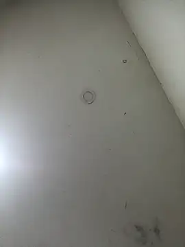 Snapshot of jeremiabello chatting on March 2025 10:49:02 AM jeremiabello online show from March 2025 10:49:02 AM