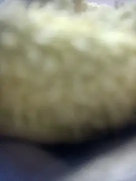 jeremiabello online show from April 2026 04:31:02 AM