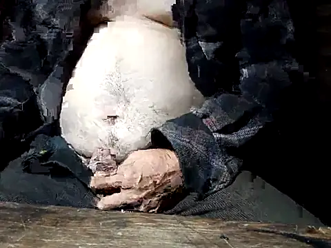 tus ordenes mis deseos online show from April 2026 04:58:01 AM