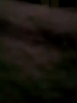 BIGBLACKCOOCK24- online show from March 2025 05:01:01 AM