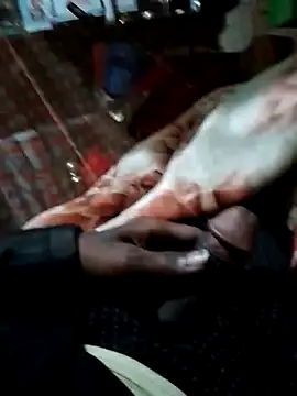 Snapshot of Antor1234 chatting on December 2024 06:37:02 PM Antor1234 online show from December 2024 06:37:02 PM