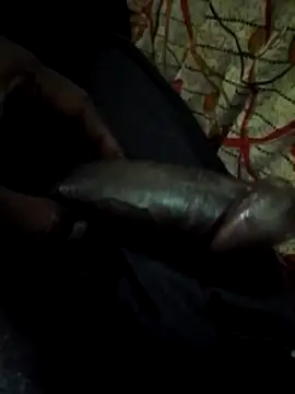 Snapshot of Antor1234 chatting on January 2025 05:59:02 PM Antor1234 online show from January 2025 05:59:02 PM