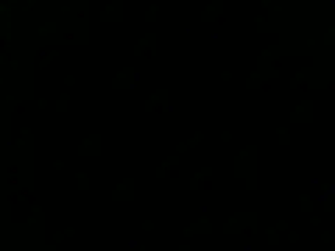 Snapshot of culalimer chatting on November 2025 01:26:02 PM culalimer online show from November 2025 01:26:02 PM