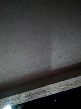 Leocesar37 online show from November 2025 04:49:02 AM