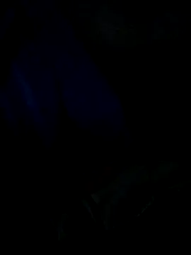 Leocesar37 online show from April 2026 04:57:02 PM