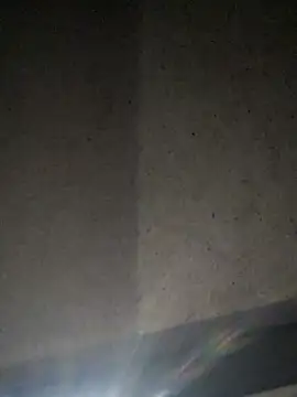 Leocesar37 online show from July 2026 11:54:01 AM