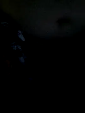 Leocesar37 online show from December 2025 03:03:01 PM