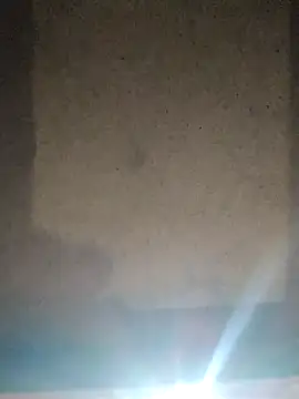 Leocesar37 online show from May 2026 05:33:01 AM